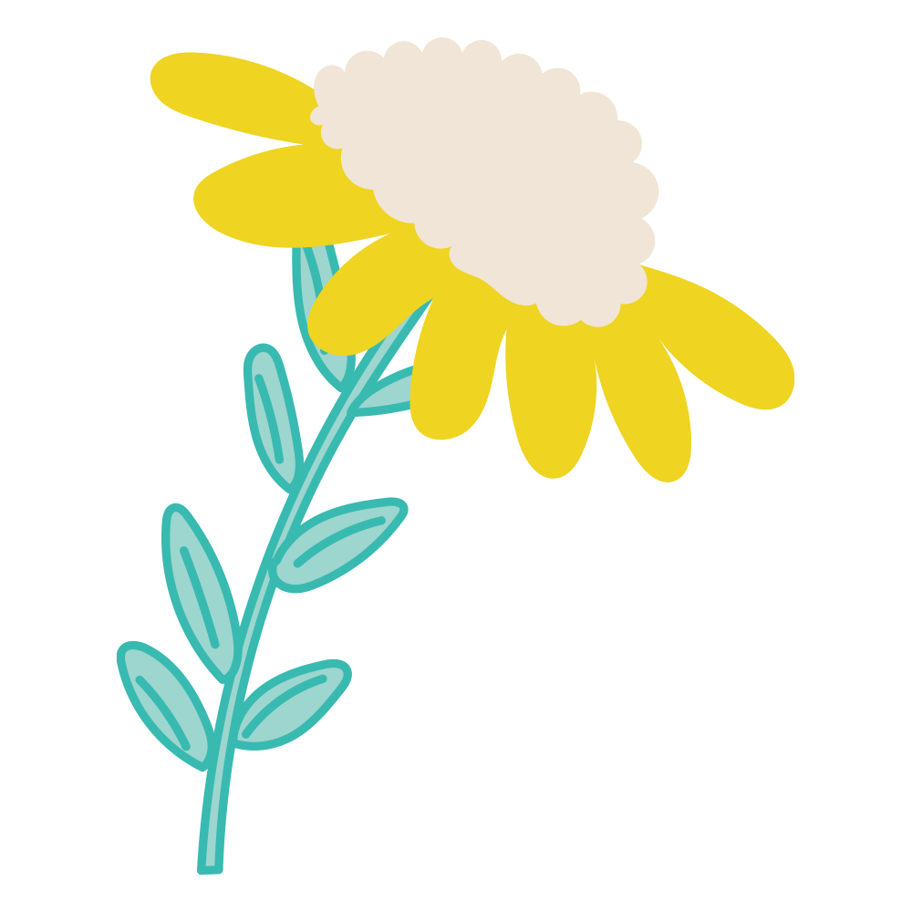 黄色い花びらにやわらかな白い花