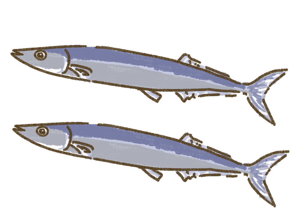 こちらは秋をイメージした秋刀魚