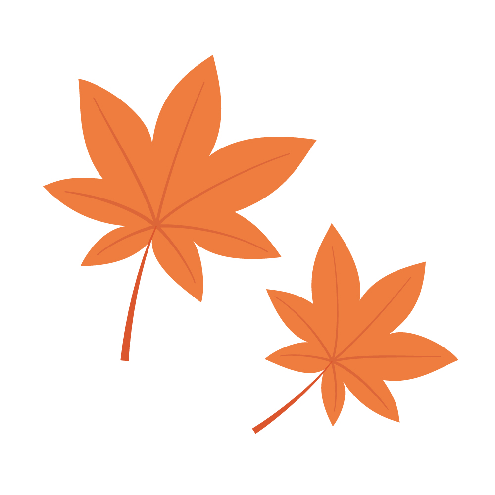 真っ赤な紅葉２枚のイラスト素材