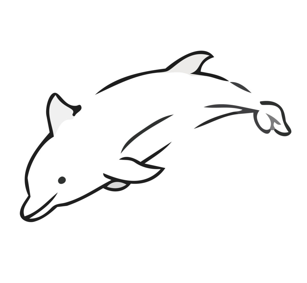 優雅に海を泳ぐ、かわいいイルカ