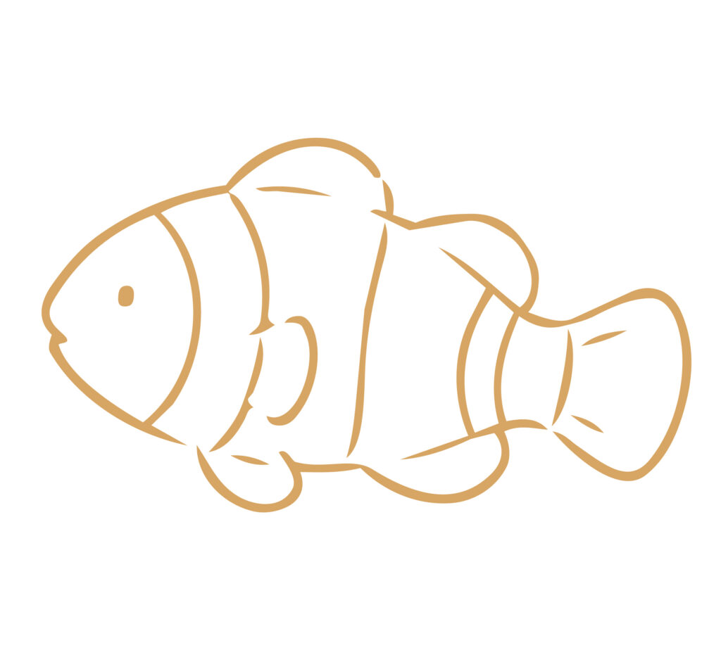 クマノミをシンプルで親しみやす