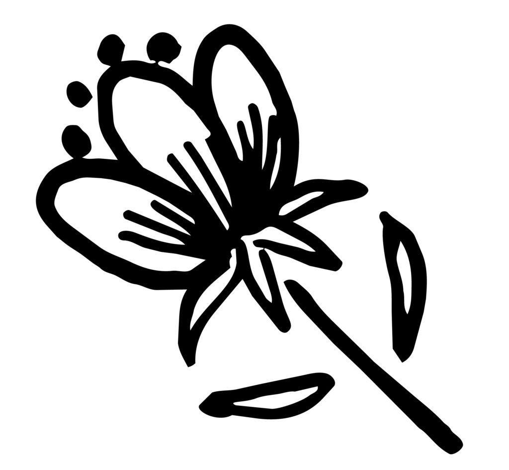 モノクロで表現した一輪の花を、