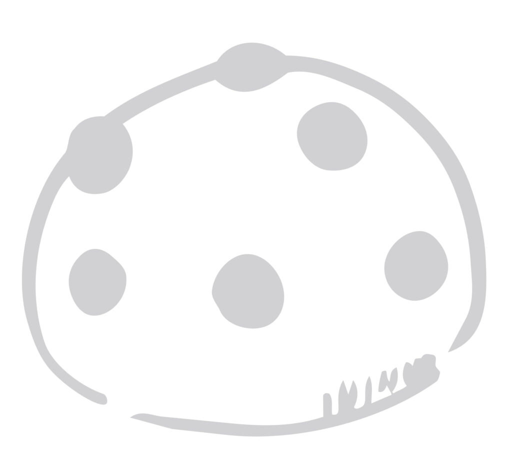 もちもちのおもちに豆の食感がア