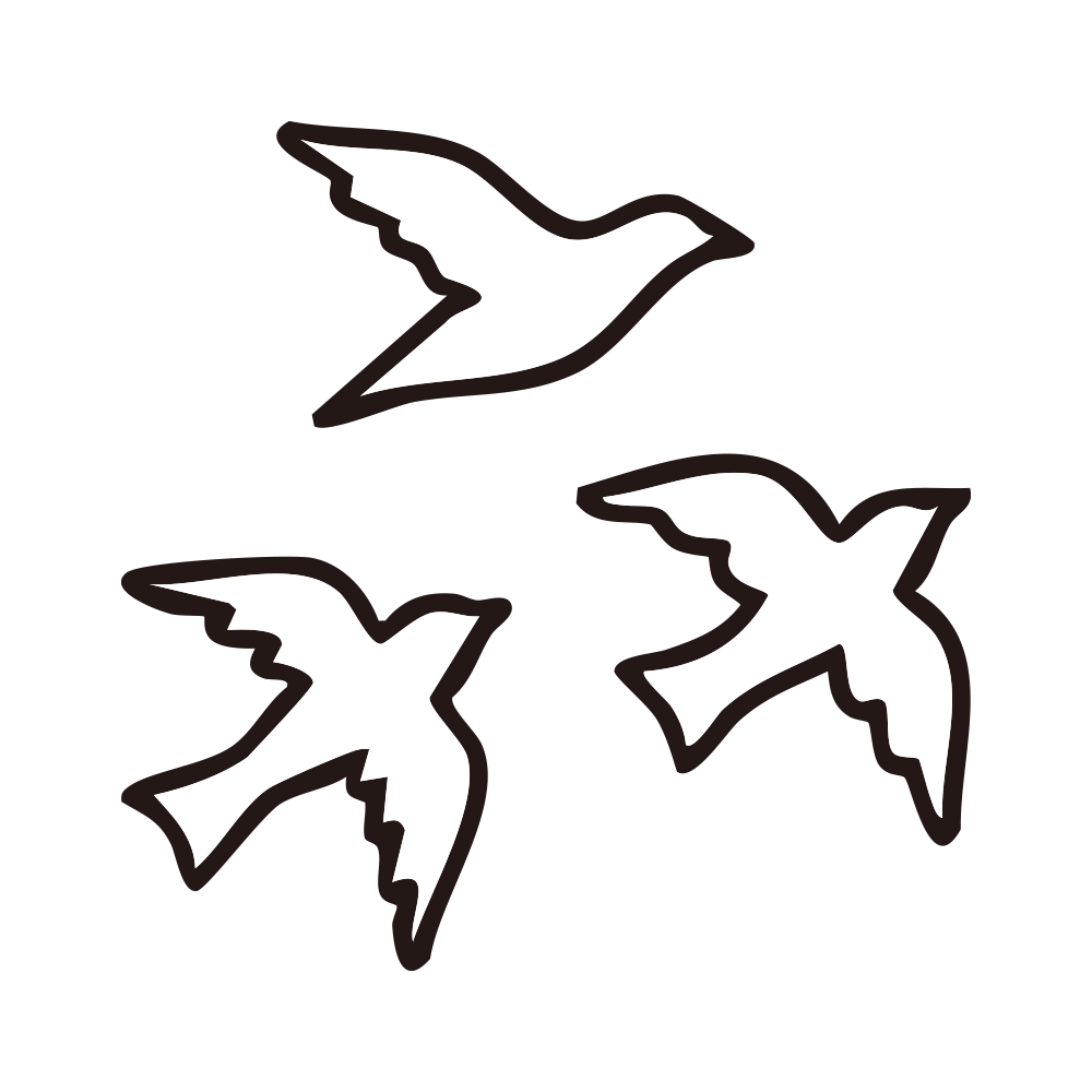大空を舞う3羽の鳥たちを描いた