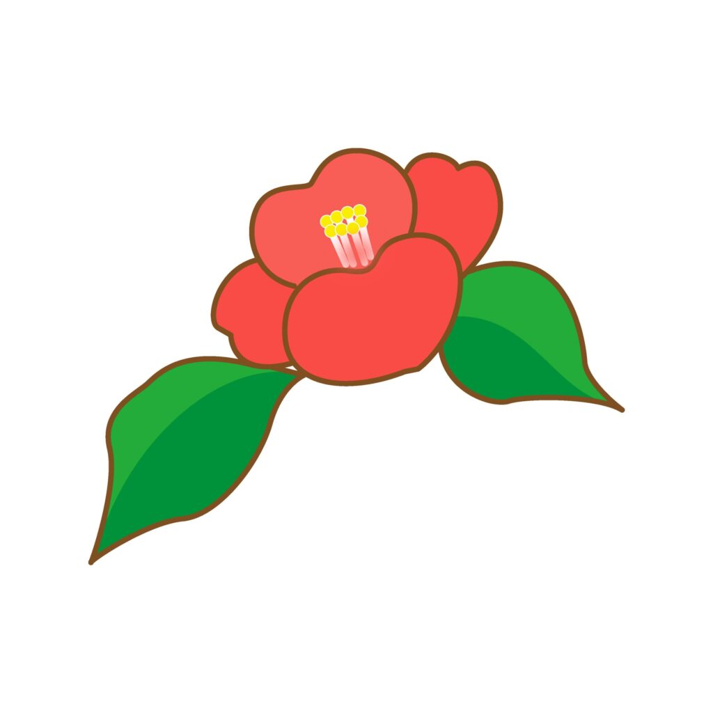 冬から春にかけて咲く椿の花のイ