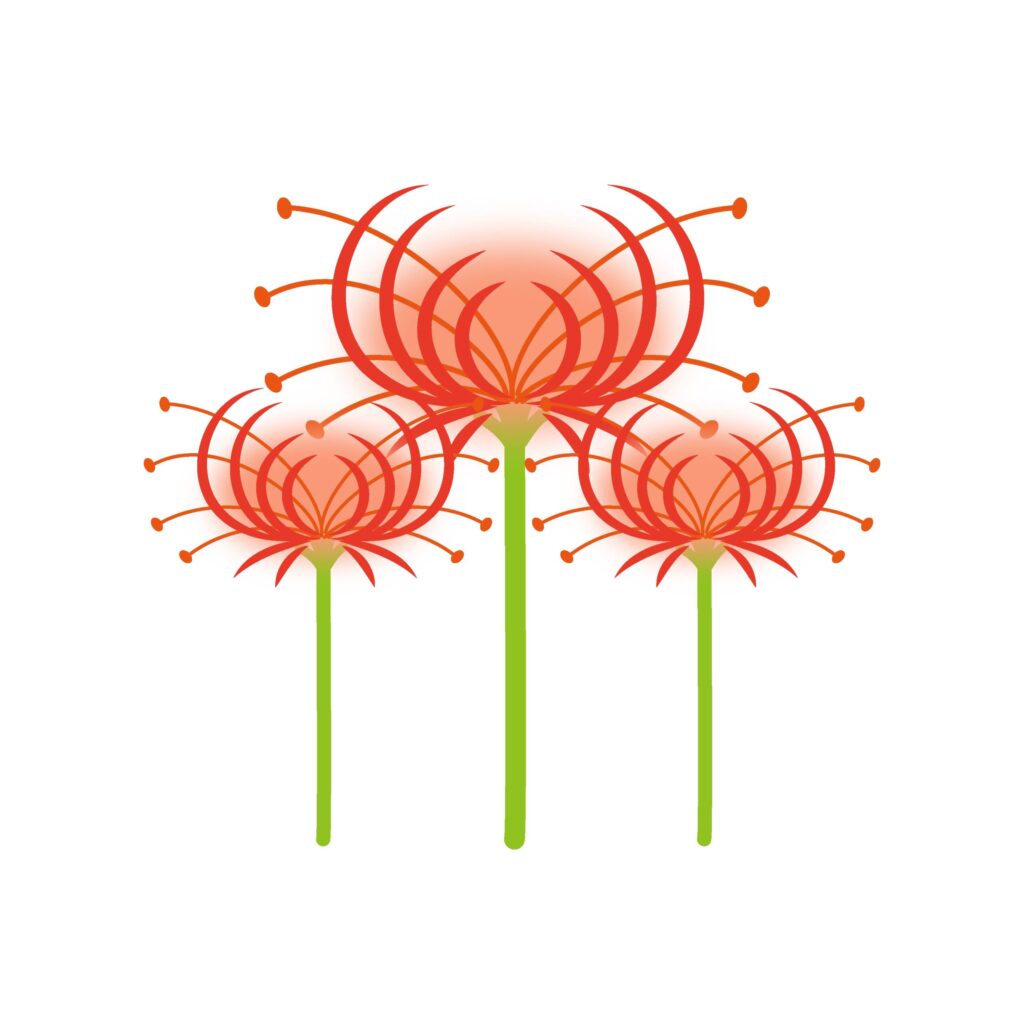 今が見頃の秋を感じる彼岸花の花