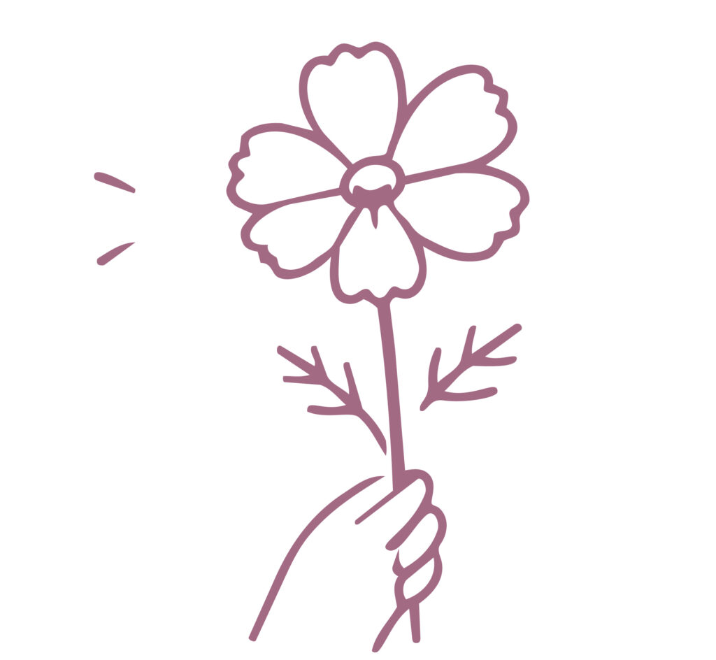 秋の花である秋桜（コスモス）を