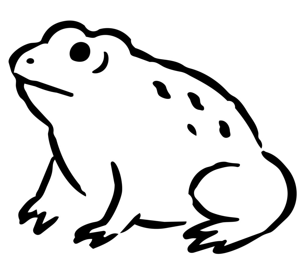 筆のかすれや不揃いな線を生かし