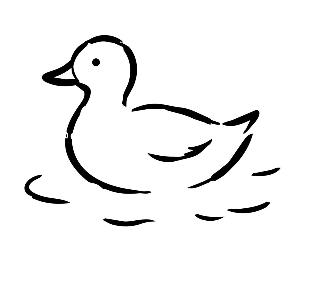 水面を気持ちよさそうに泳ぐ、か