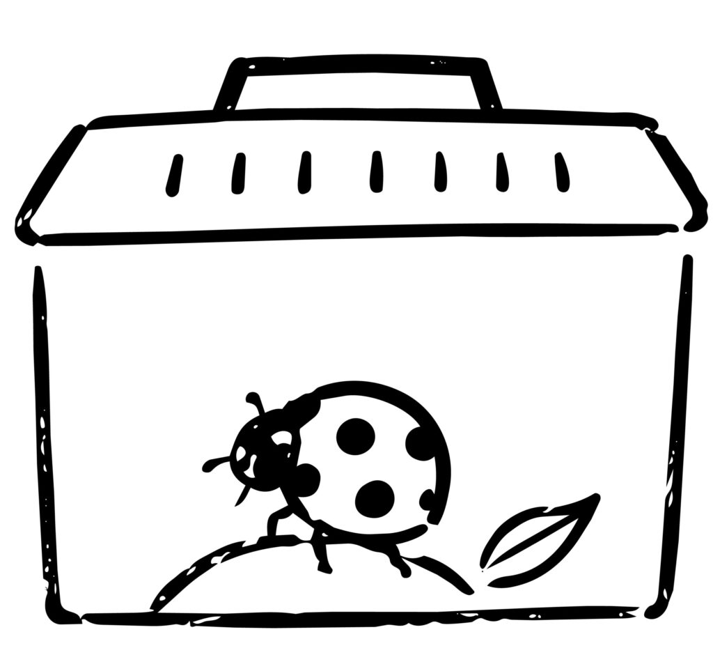 虫かごの中に入った、斑点がかわ