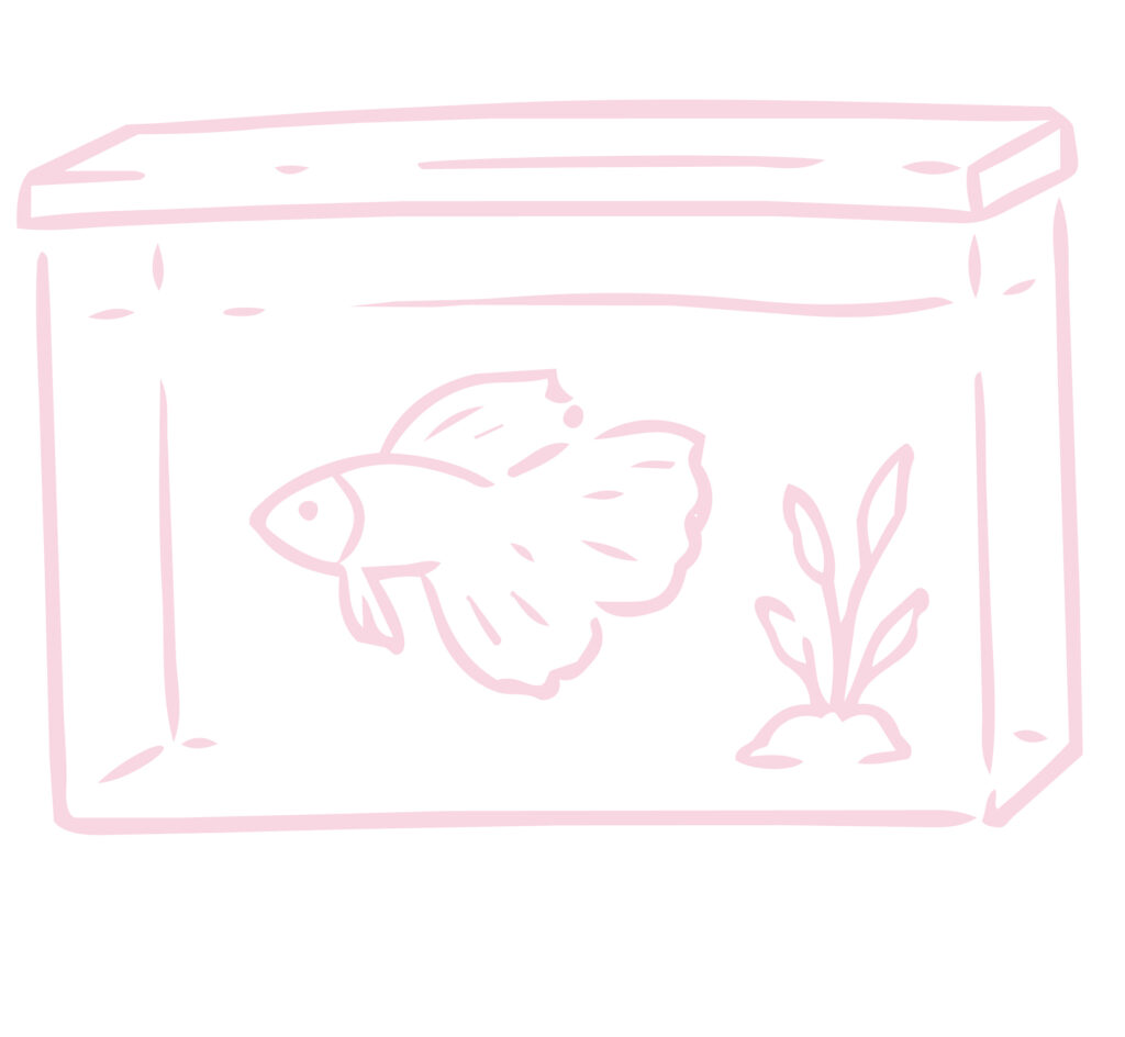 水槽の中を優雅に泳ぐベタを描い