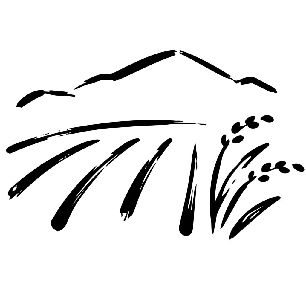 山のふもとに広がる稲田の風景を