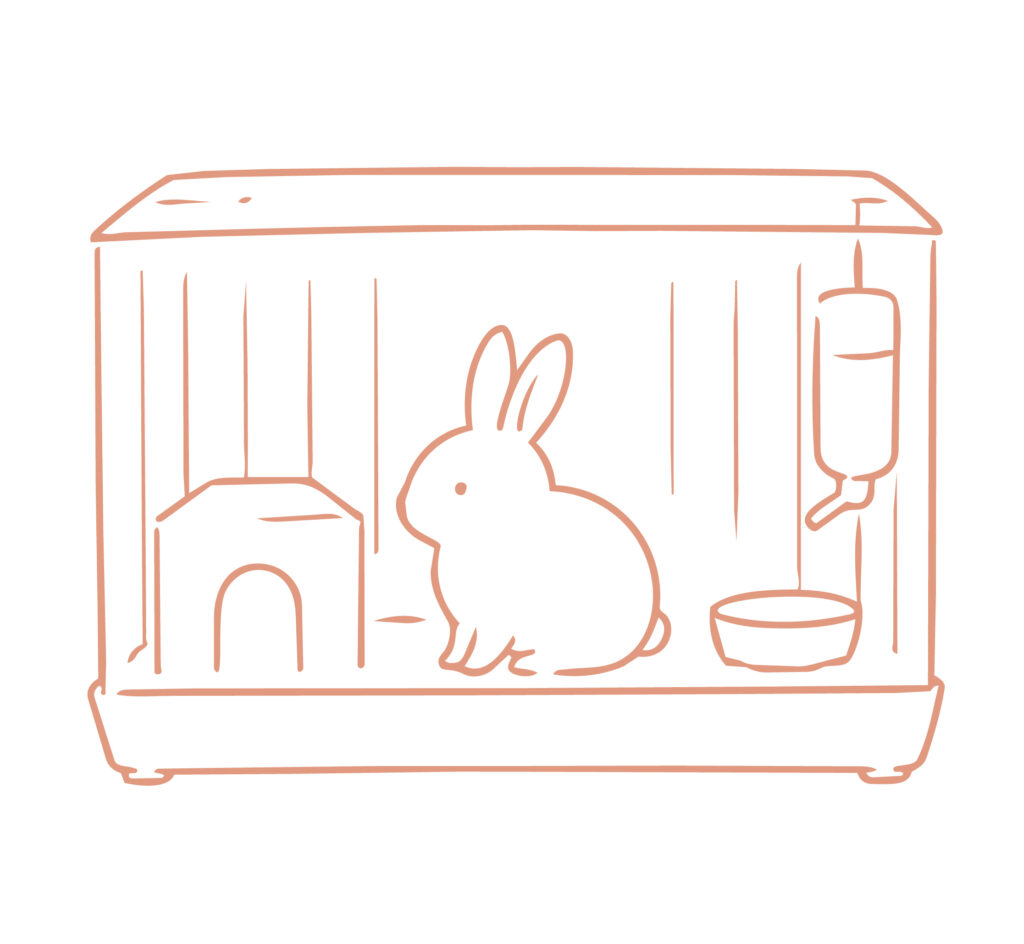 うさぎを飼育するためのケージの