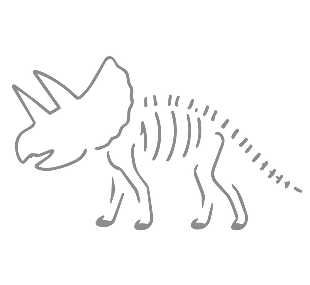 トリケラトプスの骨格をラフ画タ
