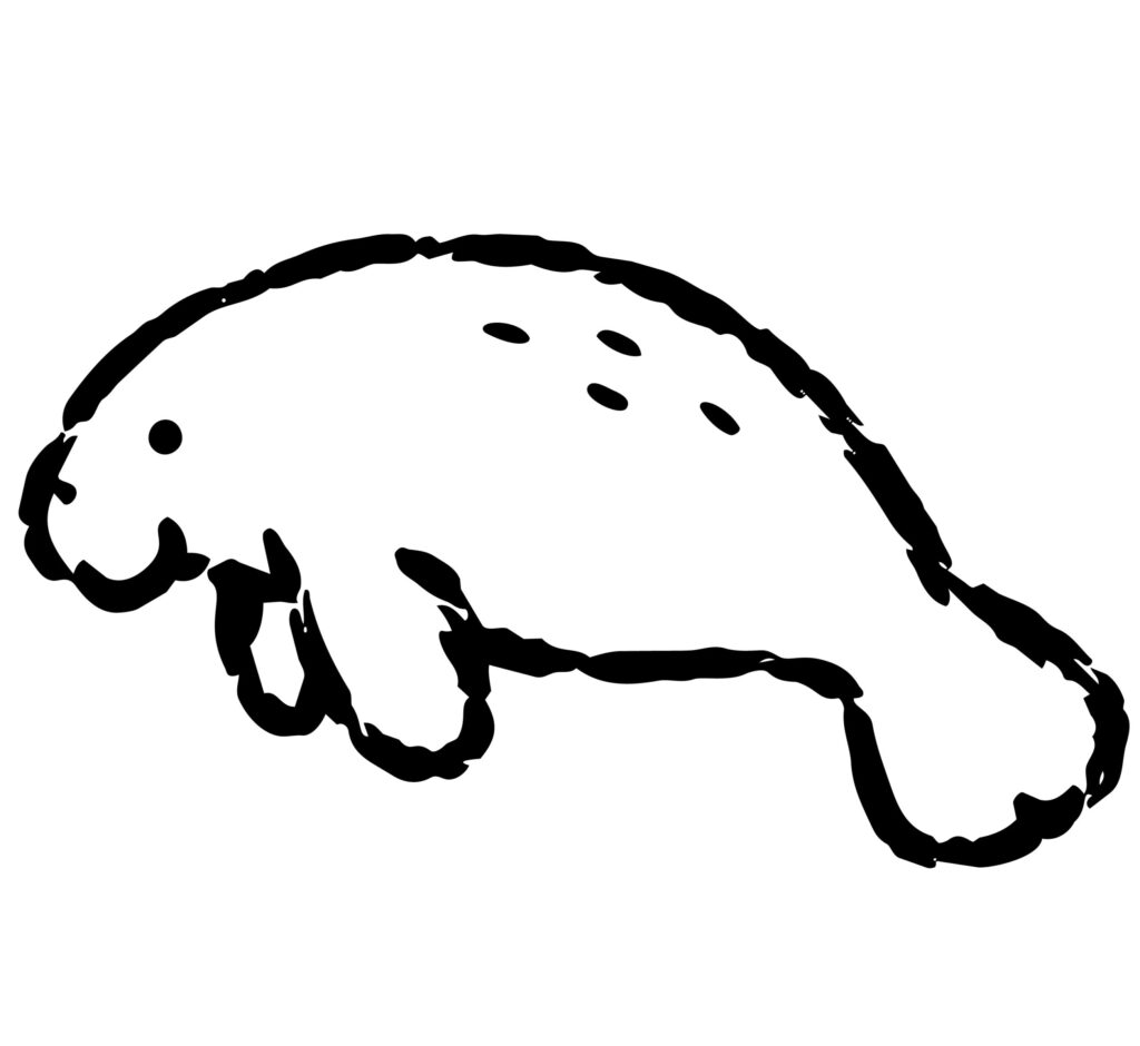 丸みのある体と小さな目が愛らし