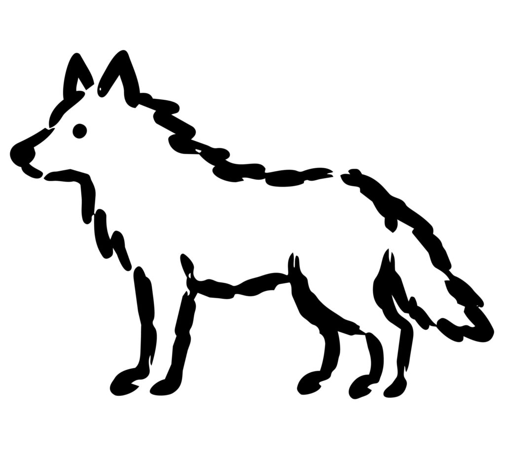 シンプルな線で、オオカミを描き