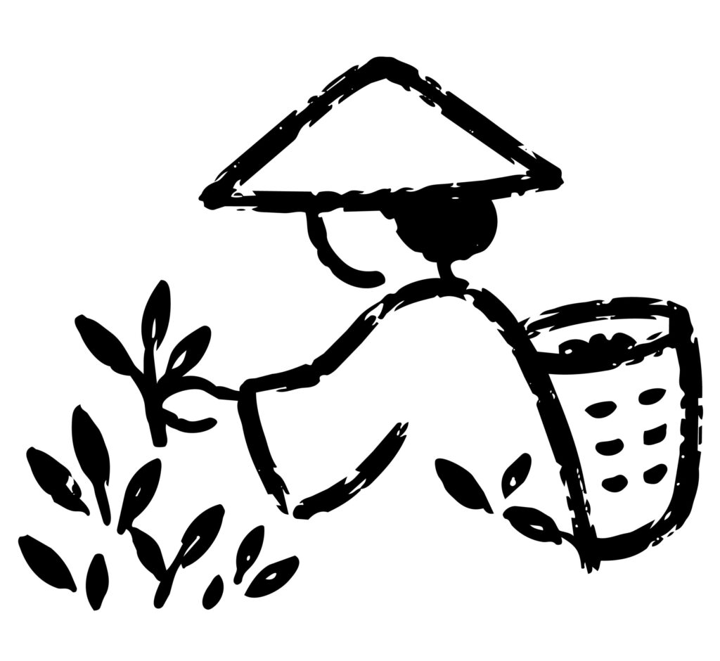 日本の伝統的な茶摘みの風景を描