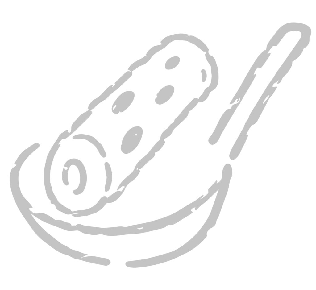 おたまにのった、ちくわを筆のタ