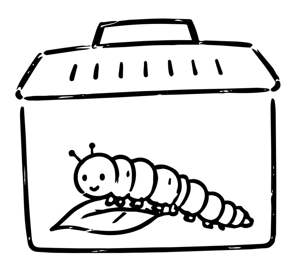 かごの中にちょこんと入ってる葉
